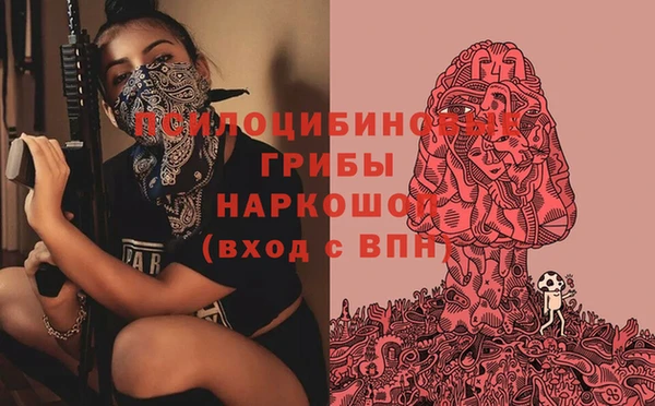 кокс Алексин