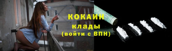кокс Алексин