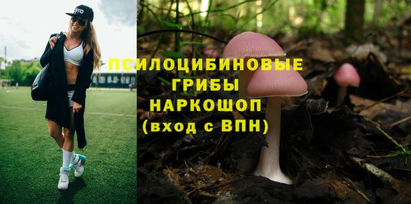 кристаллы Алзамай