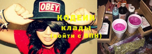 кокс Алексин
