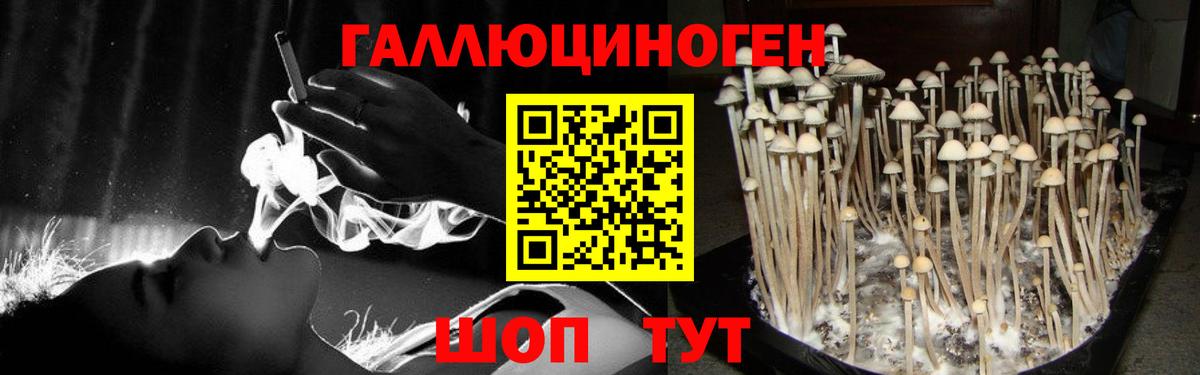 Менделеевск  Галлюциногенные грибы GOLDEN TEACHER  Вход с VPN 
